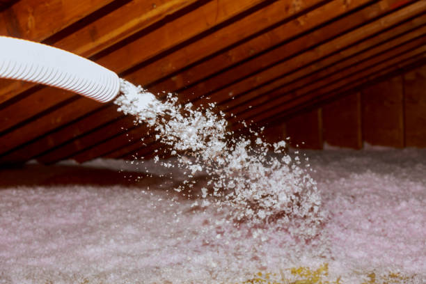 Best Residential Insulation in Sterling Heights, MI