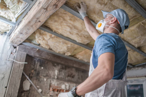 Best Spray Foam Insulation in Sterling Heights, MI