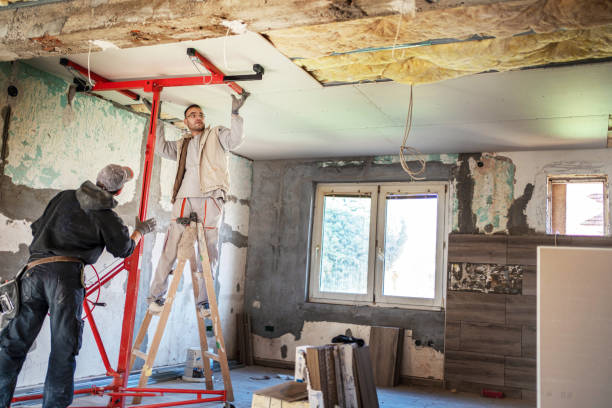 Best Eco-Friendly Insulation in Sterling Heights, MI