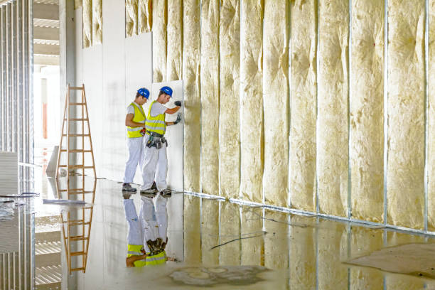 Trusted Sterling Heights, MI Insulation Contractor Experts